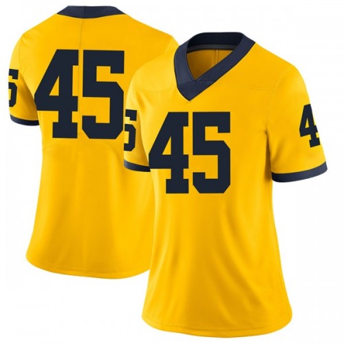 Adam Shibley Michigan Wolverines Women's NCAA #45 Maize Limited Brand Jordan College Stitched Football Jersey DAS0754MO